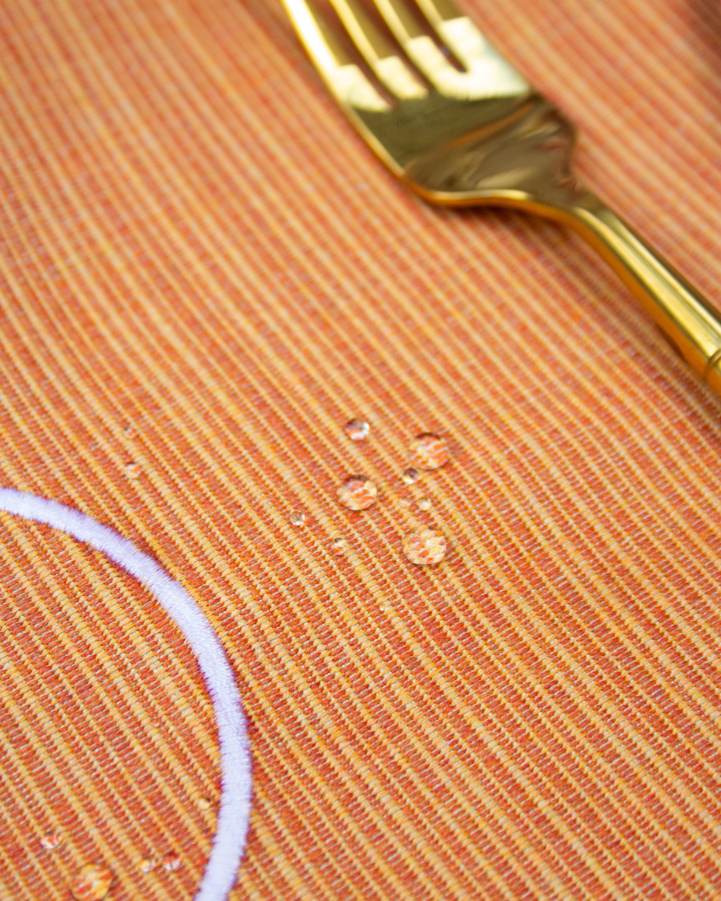 INDIVIDUAL Y SERVILLETA BABOR (naranja)