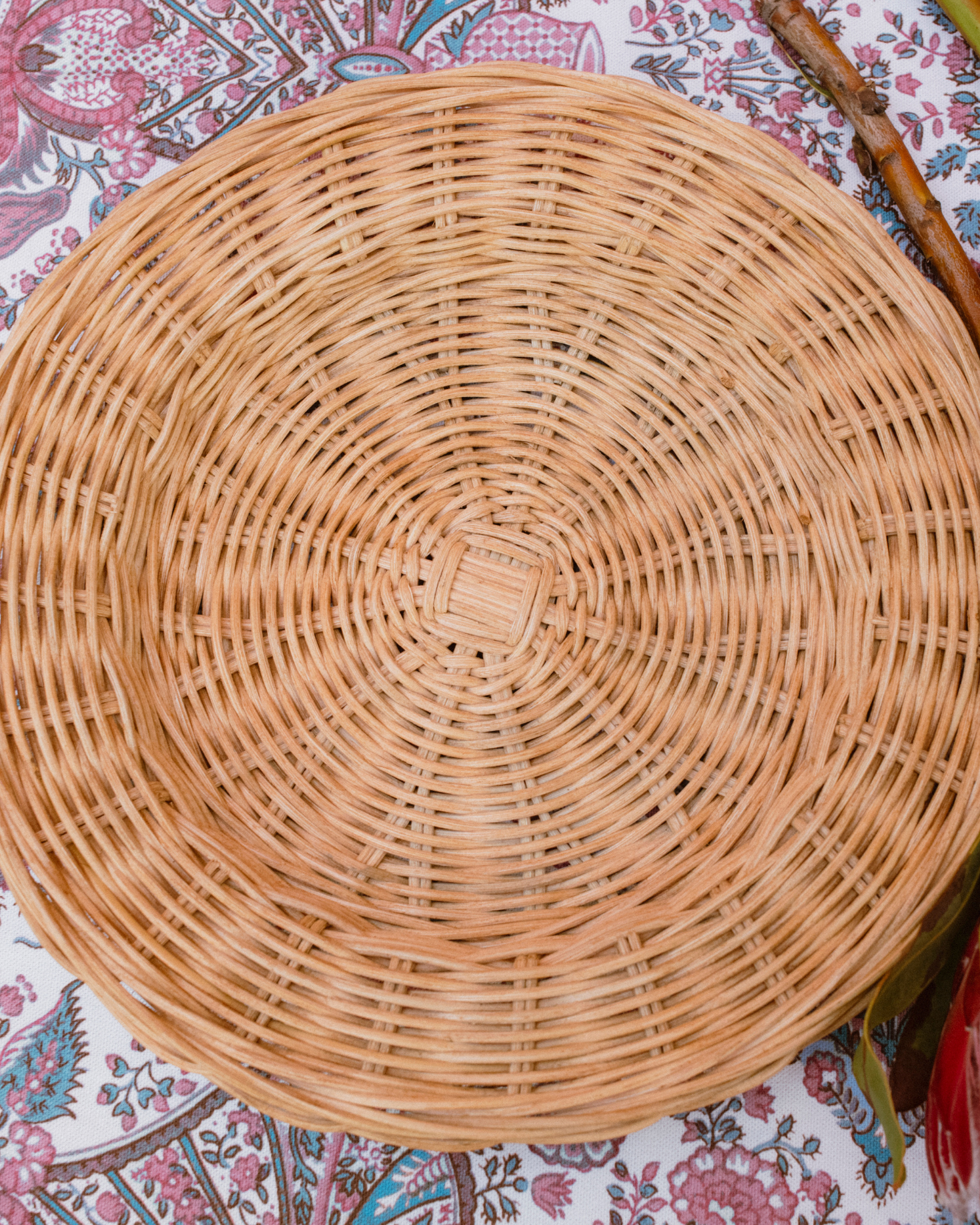 ANISE BASS PLATE