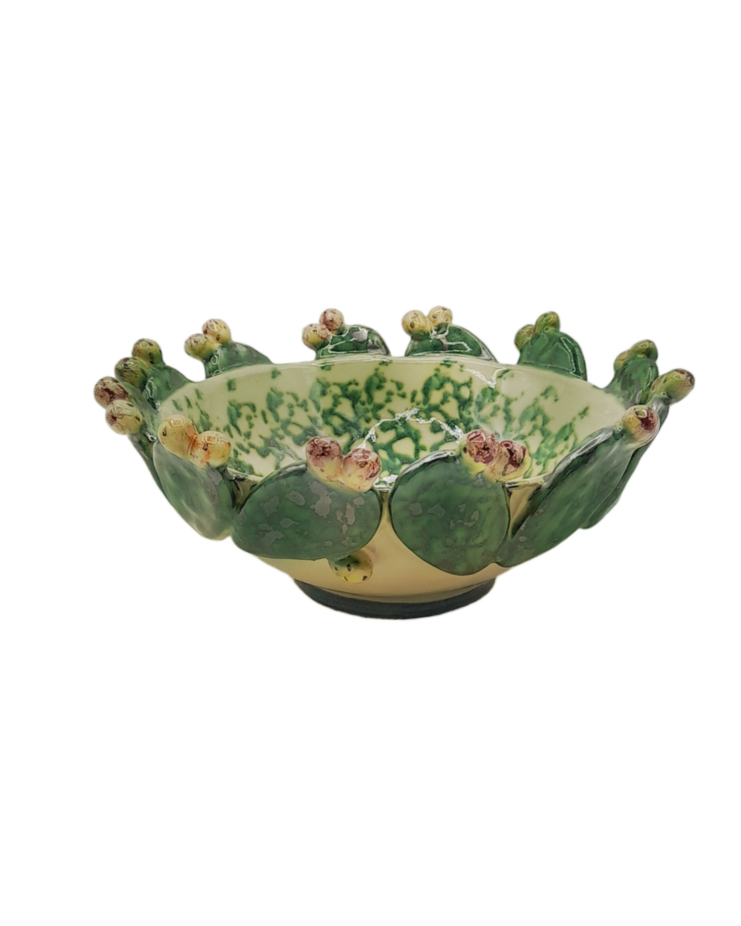 CUENCO CACTUS