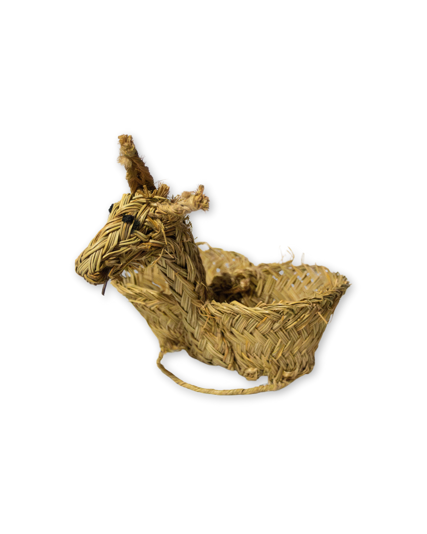 BURRO DE ESPARTO PARA VINAGRERAS