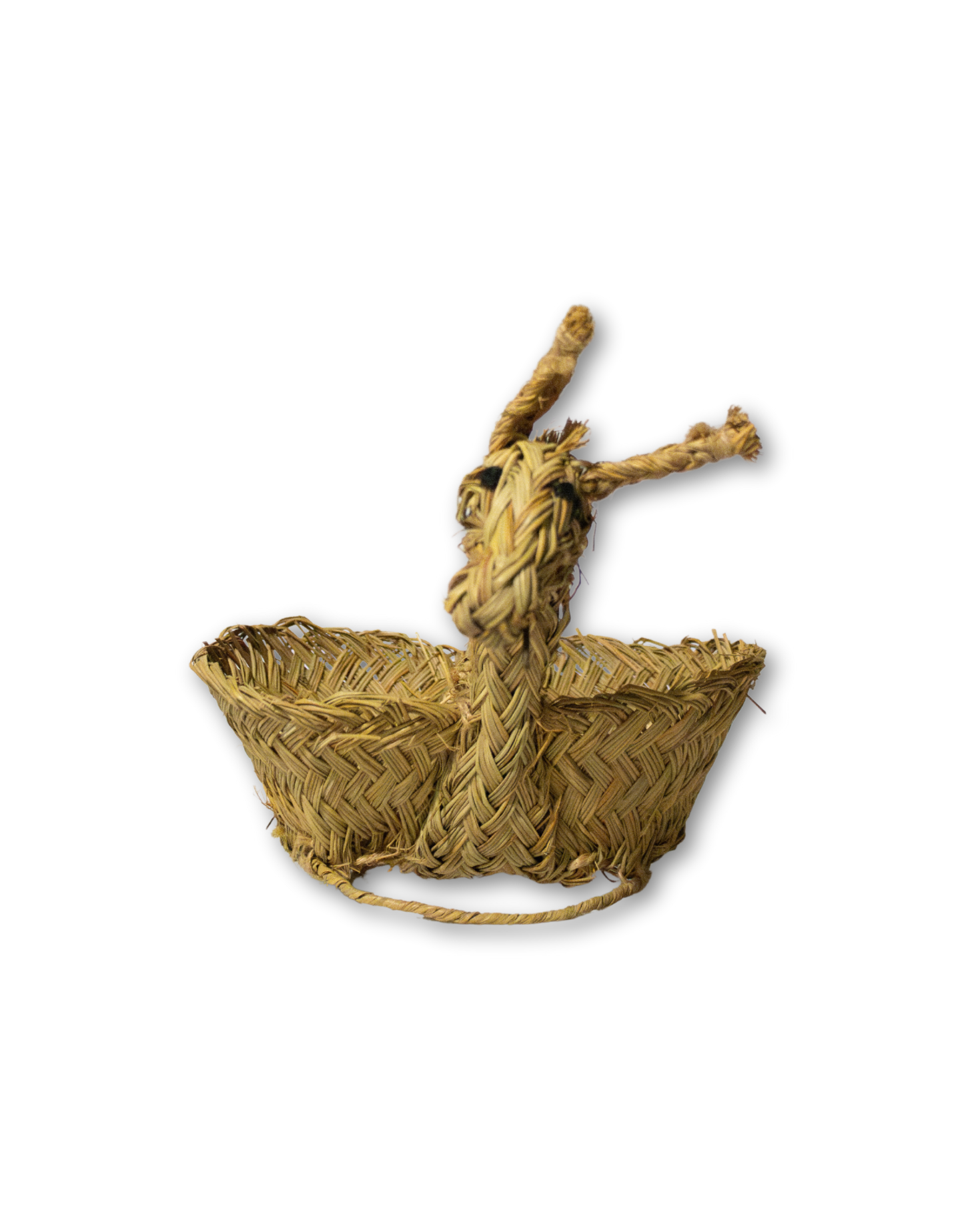 BURRO DE ESPARTO PARA VINAGRERAS