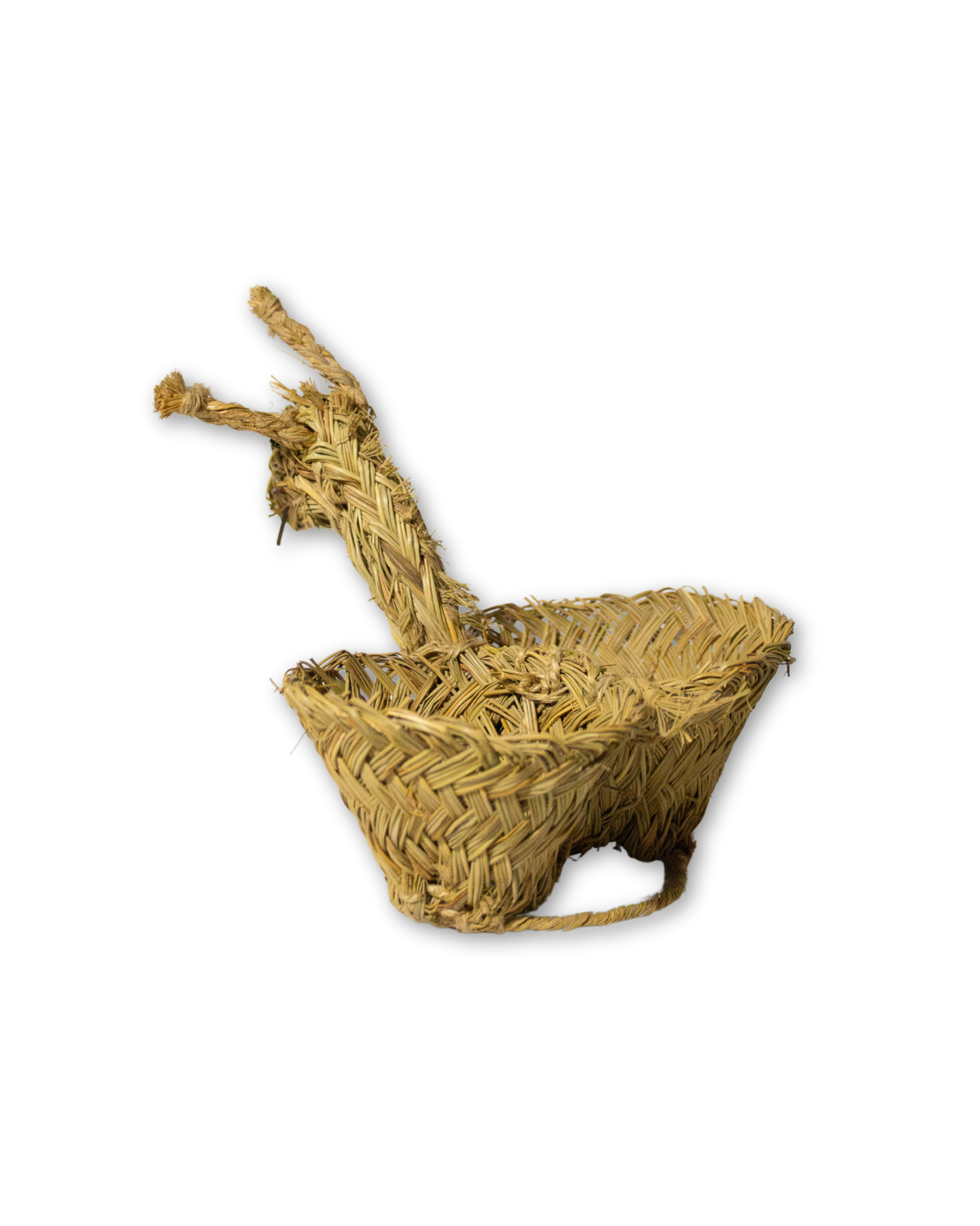 BURRO DE ESPARTO PARA VINAGRERAS