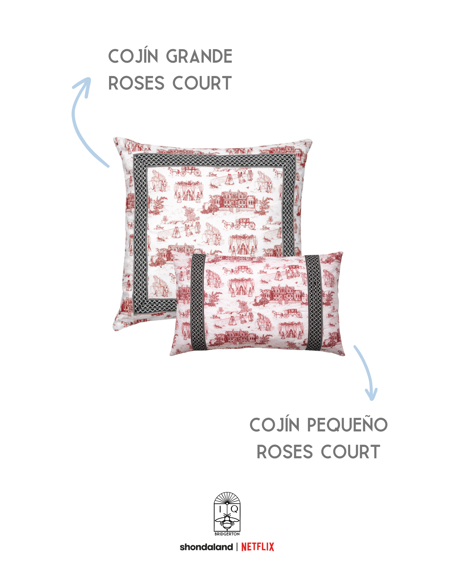 PACK COJINES ROSES COURT